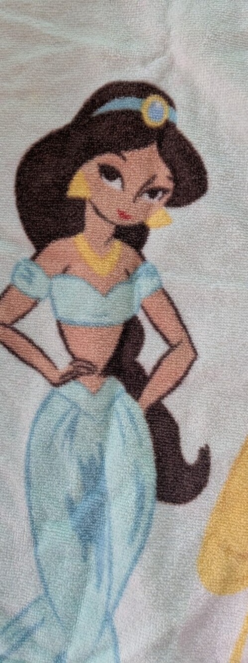 Pottery Barn Disney Princess Hooded Beach Towel - Excellent Condition - Picture 7 of 9